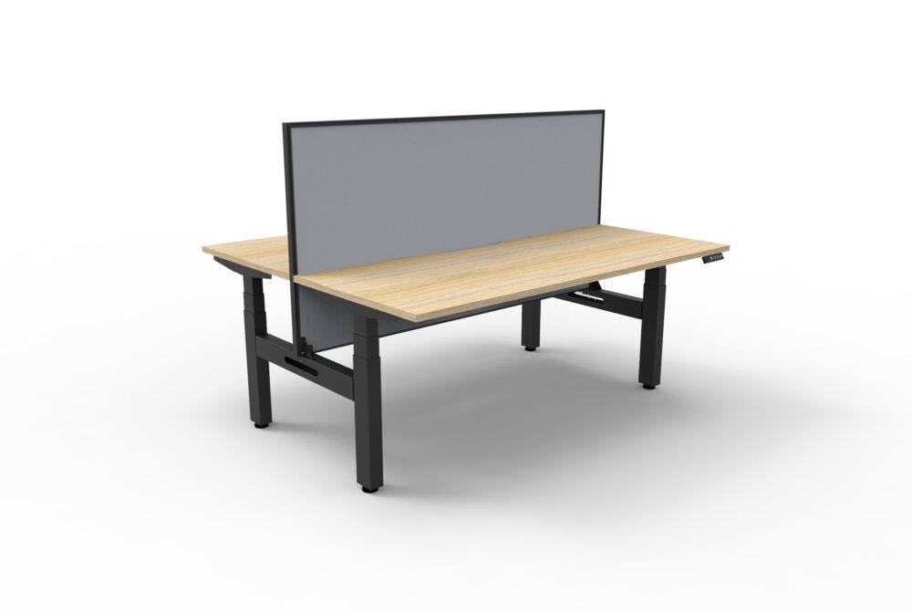 BOOST+ Height Adjustable Back to Back Desk with Screen