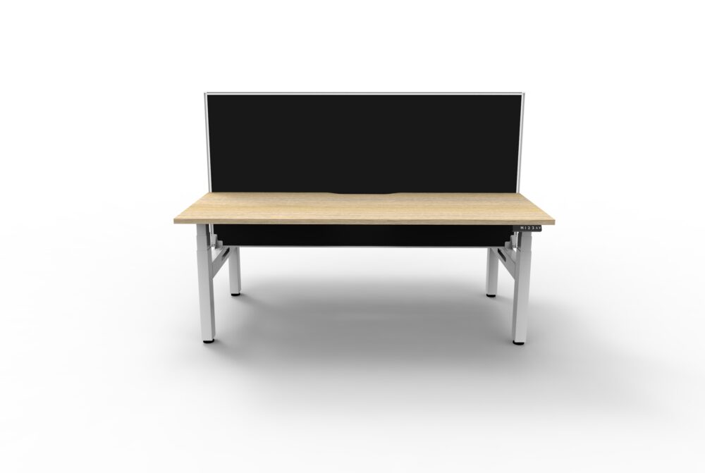 BOOST+ Height Adjustable Back to Back Desk with Screen